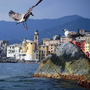 Appartamento Il Veliero, Camogli